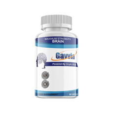 Gavvia Brain